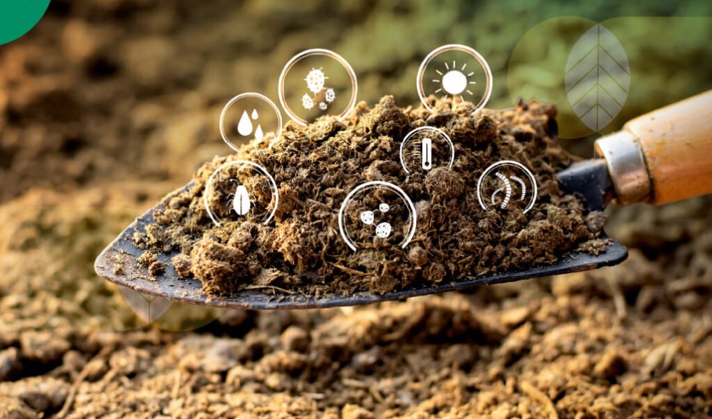 Post-Antibiotic Era: Strategi Bangun "Ketahanan Mikrobioma" untuk Lawan Superbug di 2025