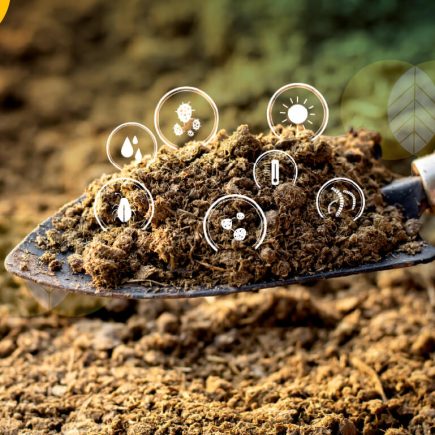 Post-Antibiotic Era: Strategi Bangun "Ketahanan Mikrobioma" untuk Lawan Superbug di 2025