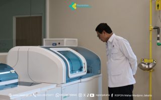 Sinar "Pembersih Otak": Saat Terapi Gelombang Mikro 2026 Jadi Tren Eksekutif Jakarta yang Lelah